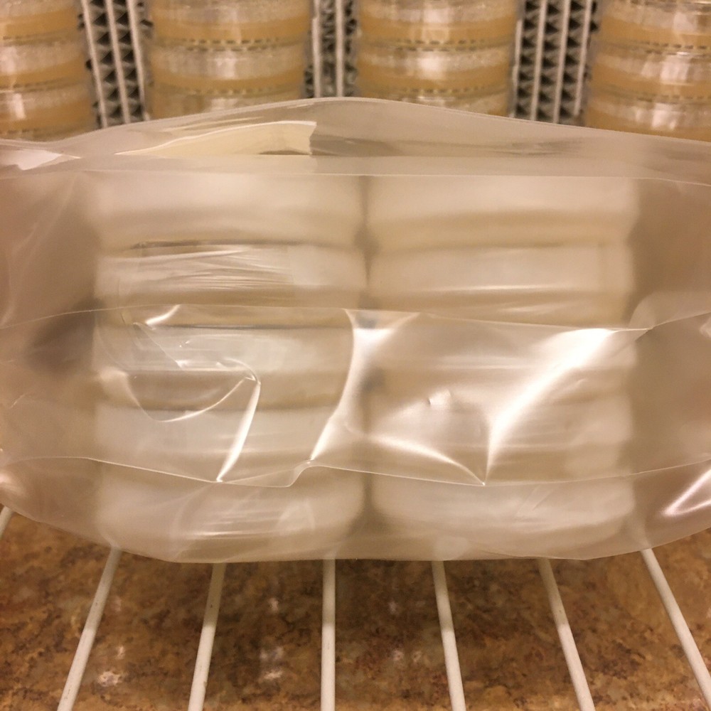 10 Petri Dishes Bacterialogical Potato Dextrose Agar Pre-Made Sterile 60x15mm