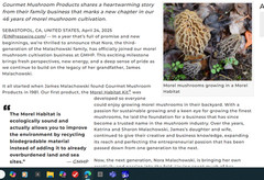 Morel Habitat Kit ® : Backyard Morel Mushroom Grow Kit – S MHK
