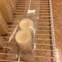 10 Petri Dishes Malt Extract Agar Sterile BD Falcon 60x15mm