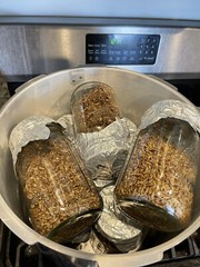 3-Pack Sterilized Non-GMO Rye Grain Jars w/ Injection Port and PTFE Filter