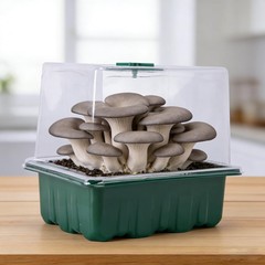DECOHS 4 Pack Monotub Mushroom Grow Kit, 6.5″ x 5″ x Small Mini, 4 Pcs