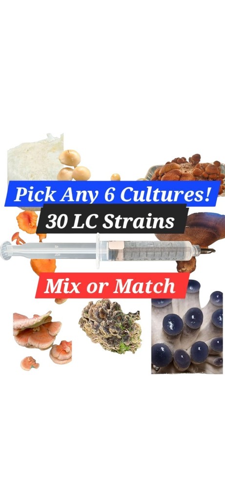 Mushroom Liquid Culture Mycelium Syringes, 6-Pack, 30 Strains To Choose From