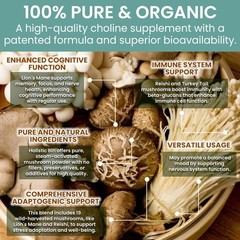 Holistic Bin Mushroom Blend Powder – 19 Wild Harvested 2.1 Ounce (Pack of 1)