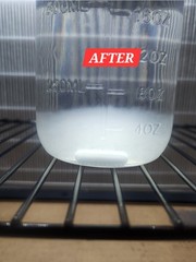 Mushroom Liquid Culture Nutrient BOOST (6 Syringes)