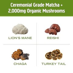 OM Mushroom Matcha Latte Blend – Lion’s Mane Reishi