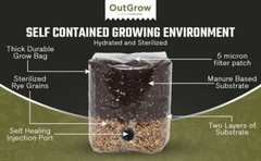 8 X Mini All In One Mushroom Grow Bags