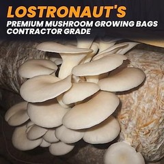 100PCS Mushroom Growing Bags – 8″x5″x20″ Thick, Durable & Tear Resistant, High P