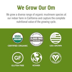 OM Mushroom Matcha Latte Blend – Lion’s Mane Reishi