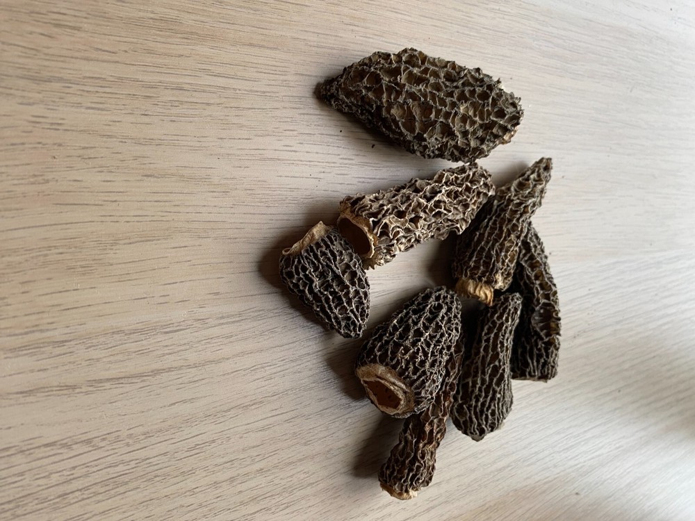 Dried Morel Mushrooms, Excellent condition, BC Harvested 145/LB CAD