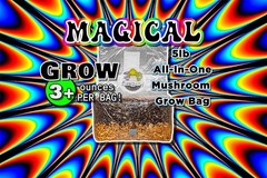 The Magical 5lb All-in-One Mushroom Grow Bag | Mushroom Grow Kit | Harvest Yo…