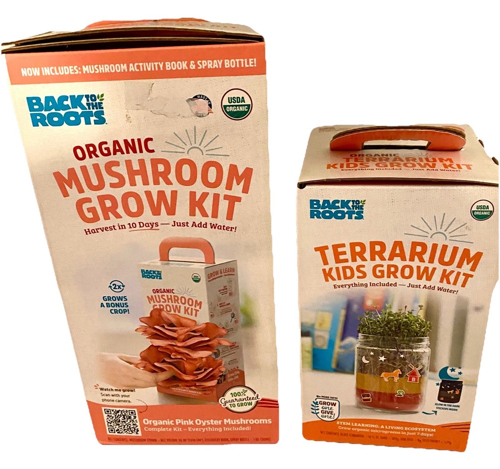 Back to the Roots Organic Pink Oyster Mushroom Grow Kit And Kids Terrarium Kit