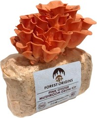 Unique Pink Oyster Mushroom Grow Kit – Made in California