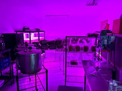 Dry Liquid Culture Pre-mix for 500ml Liquid Culture production! Discount for 6pk