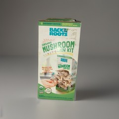 Back to the Roots Organic Mushroom Grow Kit, Organic Pearl Oyster Mushrooms, NEW