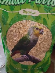 Mushroom Growing Grain Spawn Millet Gypsum Substrate 20lb By Mycelium; Bird Seed