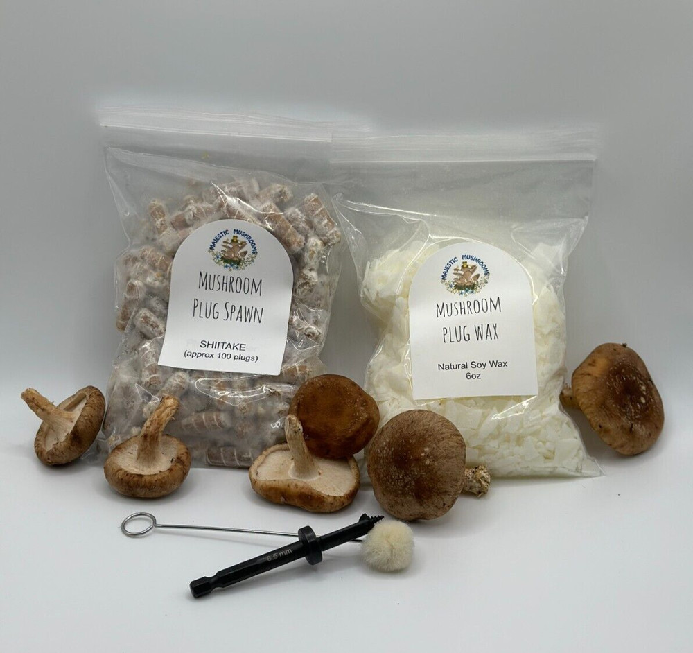 Shiitake Mushroom Plug Spawn 100x & drill bit/wax combo pack – FREE USA shipping