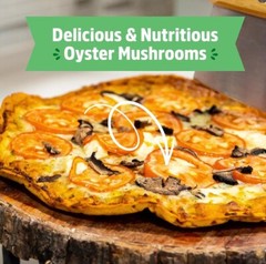 Back to the Roots Organic Mini Mushroom Grow Kit, Harvest Gourmet Oyster