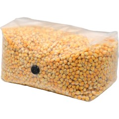 Sterilized Popcorn Grow Bag (5lb)