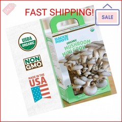 Back to the Roots Organic Mini Mushroom Grow Kit, Harvest Gourmet Oyster Mushroo