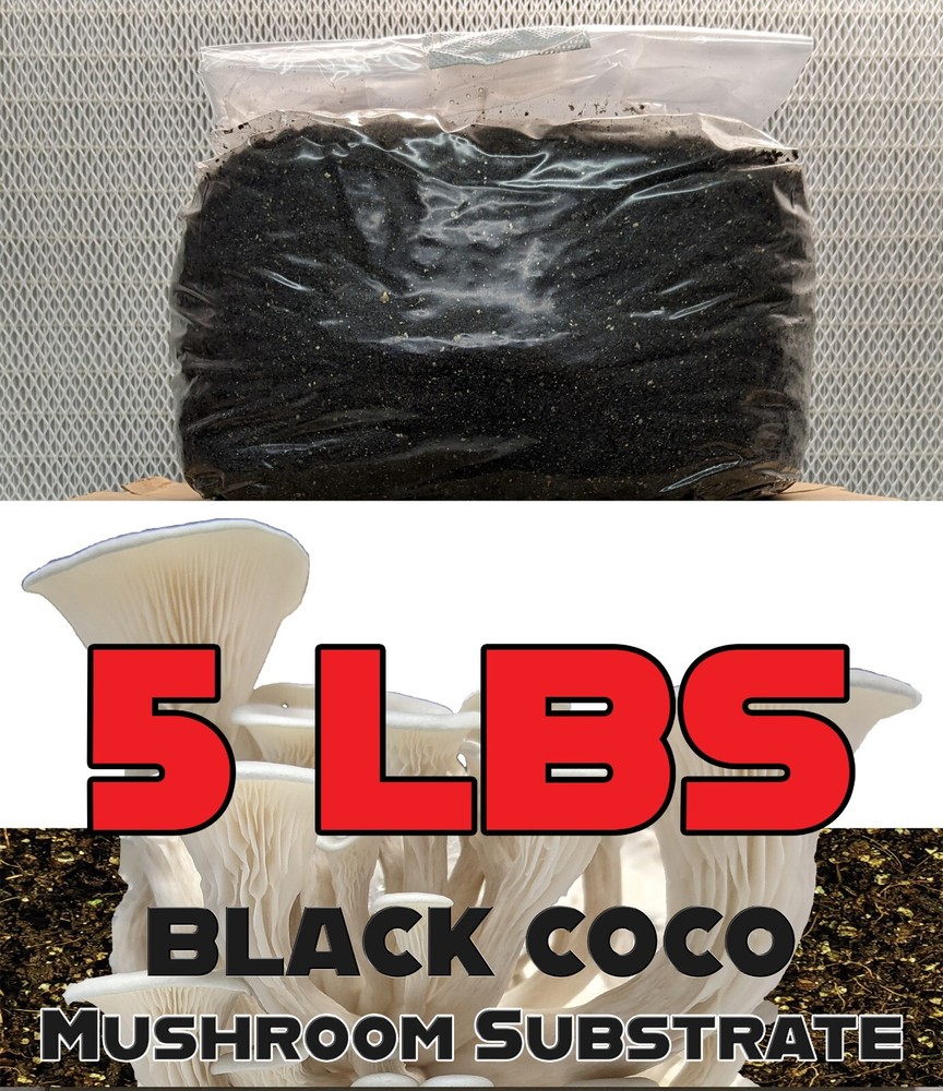 5 LBS Black Coco Mushroom Substrate