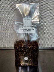 Premium Exotic Dung ALL-IN-ONE Mushroom Grow Kit 2 Pack Kit 3.5lb Mixed Bags