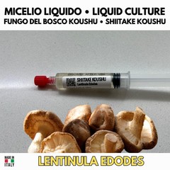 4 Japanese Shiitake Donko Koushu Nameko Enoki Liquid Mushroom Cultures