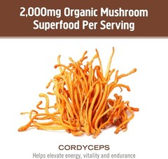 OM MUSHROOM SUPERFOOD Cordyceps Organic Mushroom 3.5 Ounce (Pack of 1), Brown