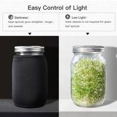 Seed Sprouting Kit – 2 Wide Mouth Jars with Stainless Steel Lids, Drip Tray & St