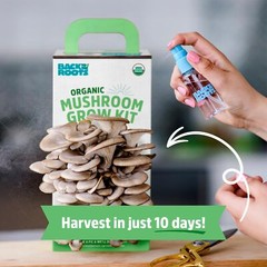 Back to the Roots Organic Mushroom Grow Kit Indoor Non GMO Easy Planting