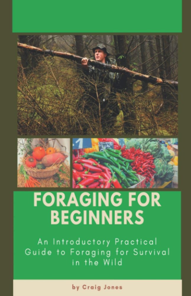 Foraging for Beginners: A Practical Guide to Survival in the…