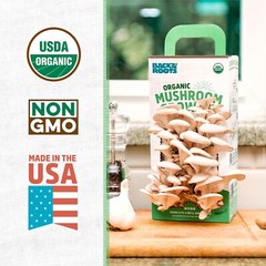 Back to the Roots Organic Mushroom Grow Kit Indoor Non GMO Easy Planting