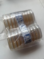 20 Sorghum Yeast Pre-Poured Agar Plates