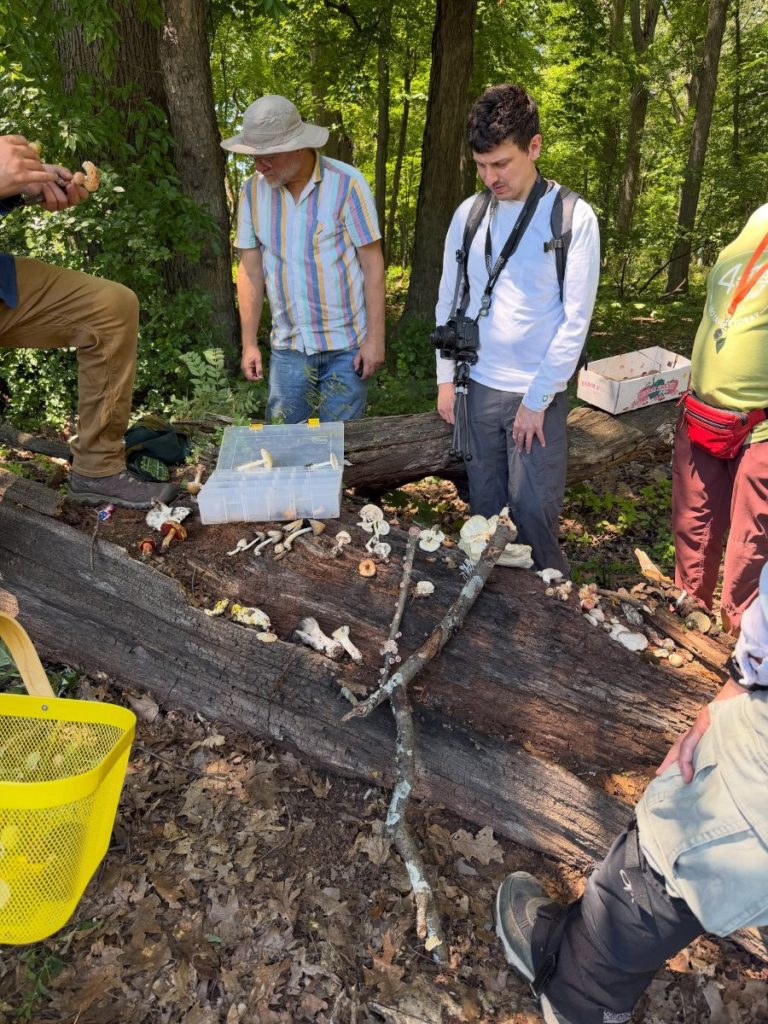 Participants gathered around a fallen log covered with mushrooms and a collection box in the woods.